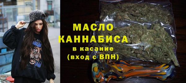 СК Алексин