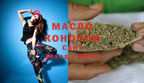 СК Алексин